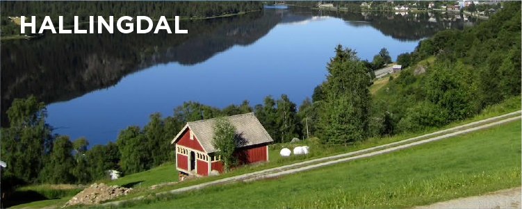 DÍA 2 LILLESTRØM • OSLO • VALLE DE HALLINGDAL